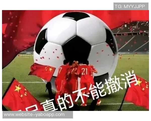 国足明年国内集训热身无大赛任务以节约经济成本为目标