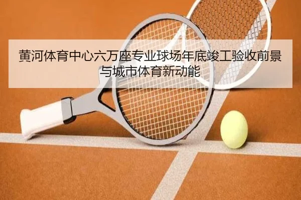黄河体育中心六万座专业球场年底竣工验收前景与城市体育新动能 - Yabo
